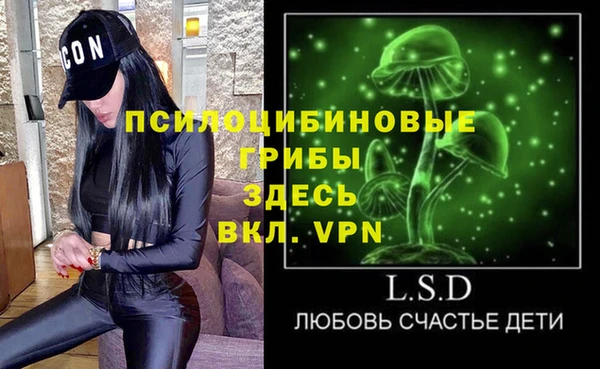 PSILOCYBIN Вяземский