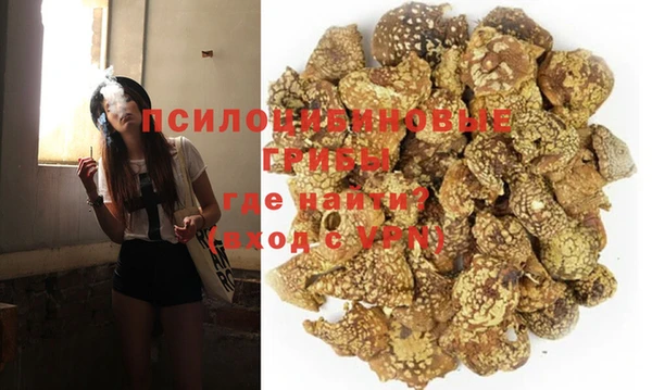 PSILOCYBIN Вяземский