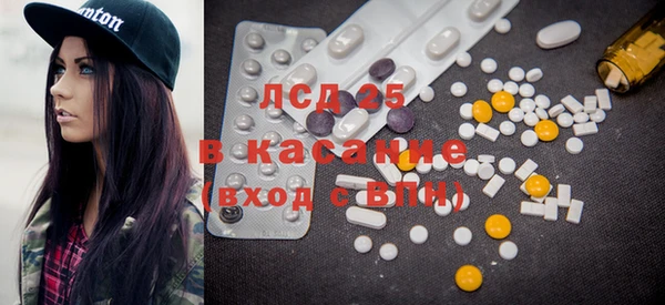 PSILOCYBIN Вяземский