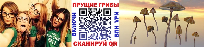 Галлюциногенные грибы ЛСД  где купить   Избербаш 